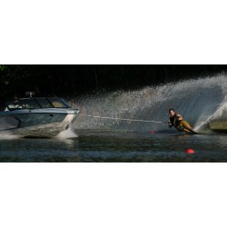 Senate Lithium RADAR 2025